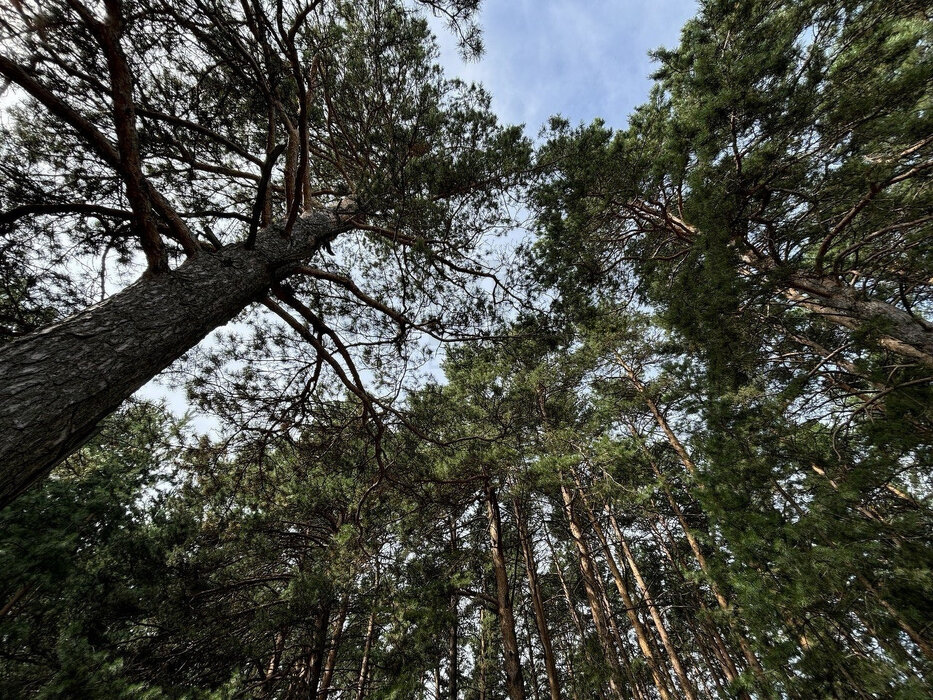 г. Березовский, ул. поселок 2-й Карьер, 26А (городской округ Березовский) - фото коттеджа/дома/дачи (5)