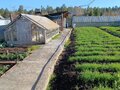 Продажа дома: г. Дегтярск, ул. Цветников, 11 (городской округ Город Дегтярск) - Фото 4