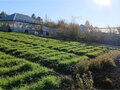 Продажа дома: г. Дегтярск, ул. Цветников, 11 (городской округ Город Дегтярск) - Фото 5