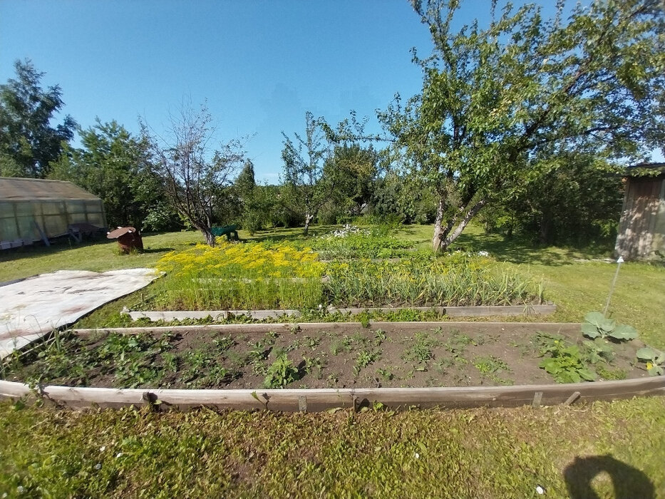 п. Храмцовская, СТ Электровозник-1 (городской округ Белоярский) - фото сада (1)