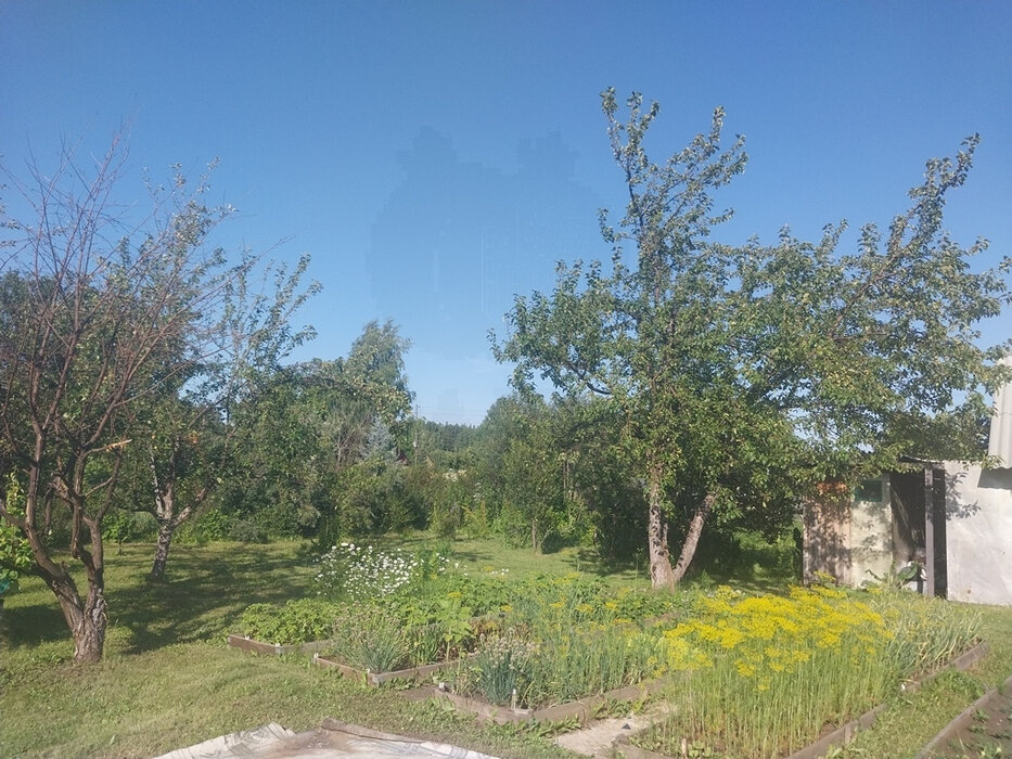 п. Храмцовская, СТ Электровозник-1 (городской округ Белоярский) - фото сада (6)