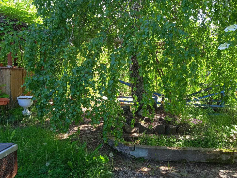 п. Зеленый бор, ул. Артиллеристов, 25 (городской округ Верхняя Пышма) - фото коттеджа (8)