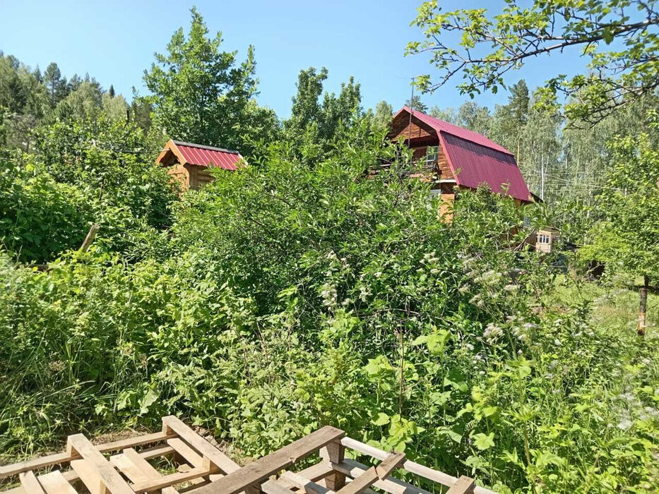 с. Таватуй, к/с Металлоштамп (городской округ Невьянский) - фото сада (3)