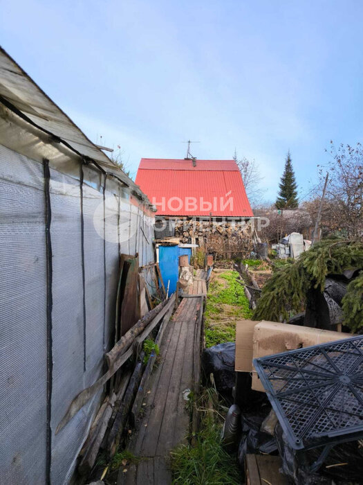 с. Балтым, тер. СТ Ясень, уч. 149 (городской округ Верхняя Пышма) - фото сада (2)