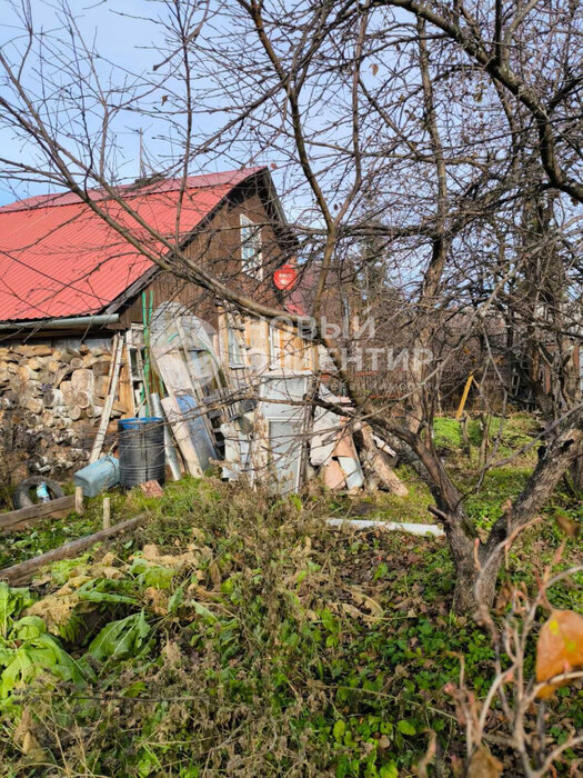 с. Балтым, тер. СТ Ясень, уч. 149 (городской округ Верхняя Пышма) - фото сада (3)