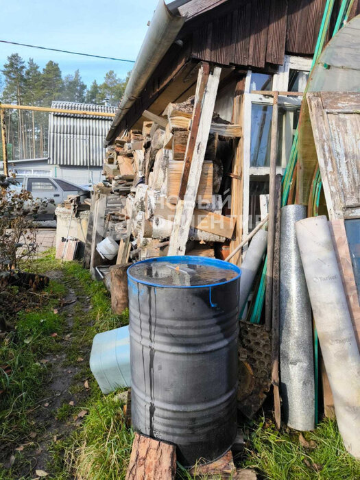 с. Балтым, тер. СТ Ясень, уч. 149 (городской округ Верхняя Пышма) - фото сада (6)