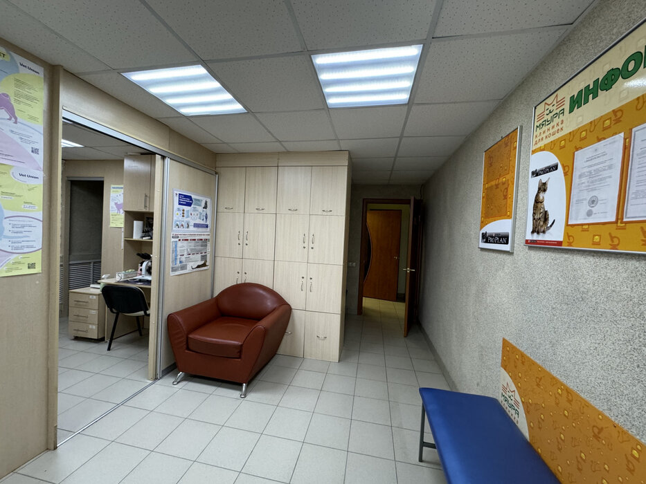 Екатеринбург, ул. Шевченко, 33 - фото торговой площади (2)