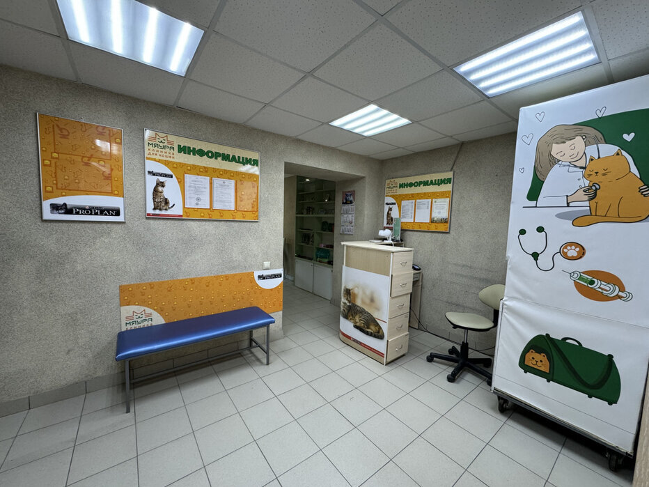 Екатеринбург, ул. Шевченко, 33 - фото торговой площади (5)