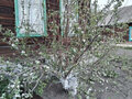Продажа дома: п. Новоасбест, ул. Горный, 4 (городской округ Горноуральский) - Фото 12