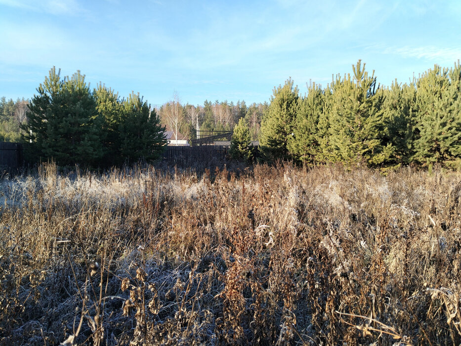 п. Становая, ул. Хризолитовая, 8 (городской округ Березовский) - фото земельного участка (1)
