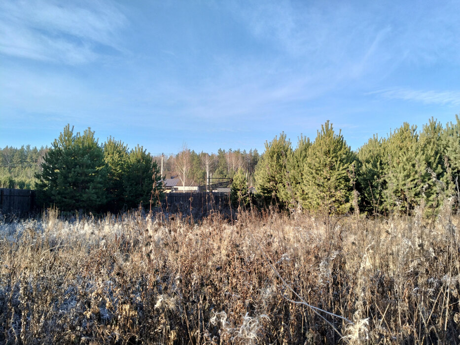 п. Становая, ул. Хризолитовая, 8 (городской округ Березовский) - фото земельного участка (4)