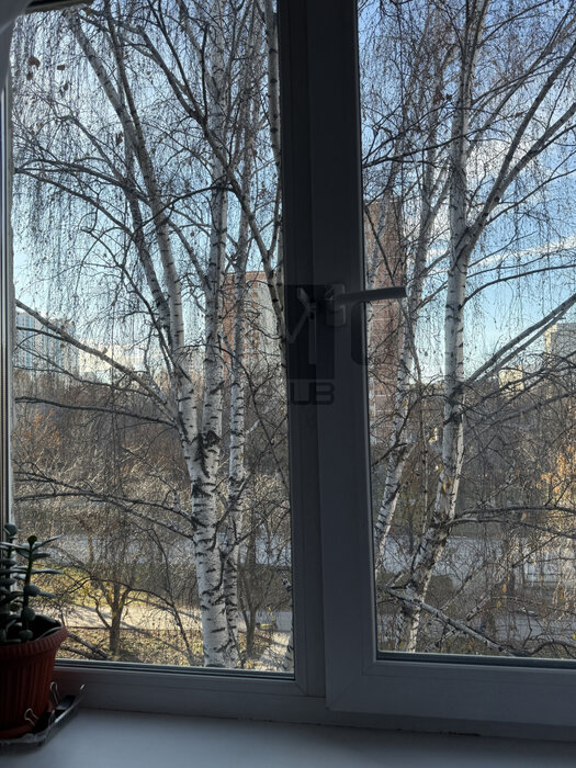 Екатеринбург, ул. Шаумяна, 86/1 (Юго-Западный) - фото квартиры (8)