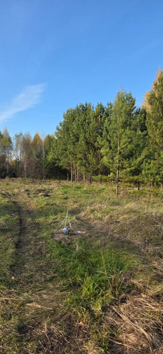 п. Белоярская Застава, ул.  Рябиновый, 3 (городской округ Белоярский) - фото земельного участка (8)