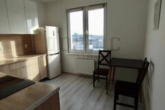 Екатеринбург, ул. Шефская, 106/2 (Эльмаш) - фото квартиры