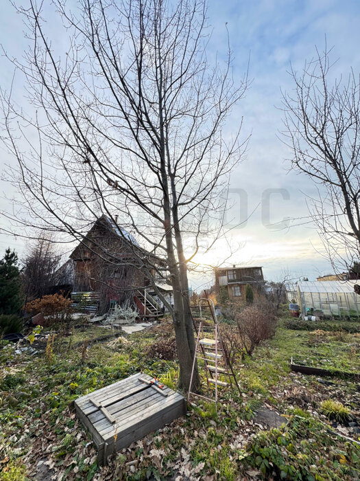 г. Среднеуральск, снт. СНТ Гать-7 , уч. 78 (городской округ Среднеуральск) - фото сада (4)