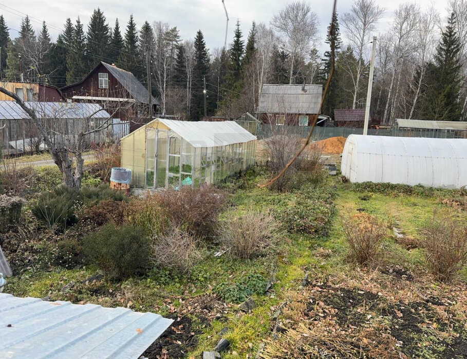 г. Среднеуральск, снт. СНТ Гать-7 , уч. 78 (городской округ Среднеуральск) - фото сада (7)