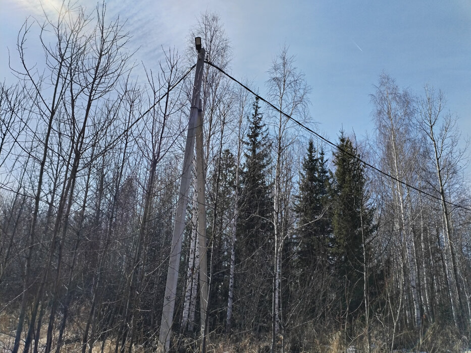 ДПК Созвездие Премиум (городской округ Екатеринбург) - фото земельного участка (3)