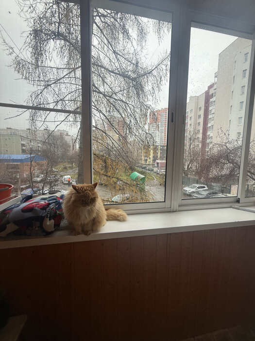 Екатеринбург, ул. Космонавтов, 92 (Эльмаш) - фото квартиры (5)