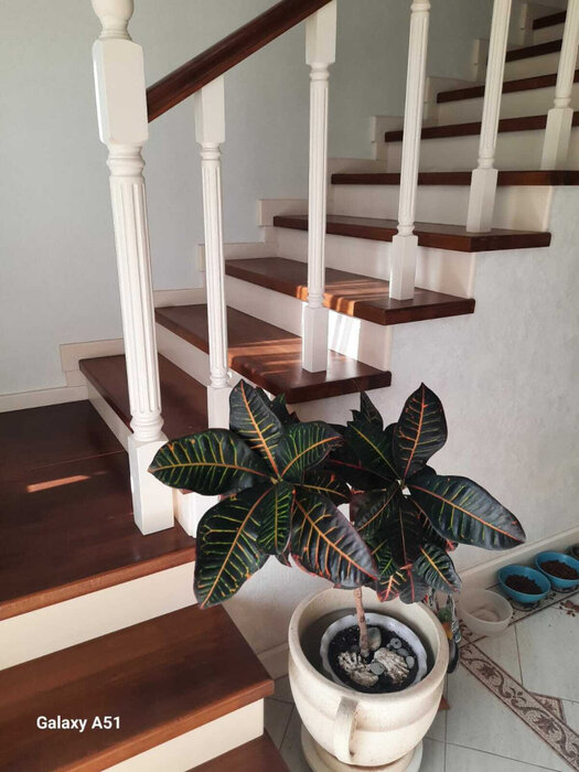 Екатеринбург, ул. Цыганская, 45/3 (Совхоз) - фото таунхауса (6)