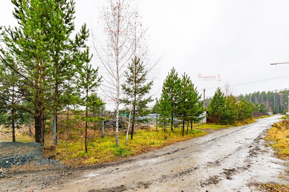 к.п. Улесье, ул. Русская, 194 (Чкаловский район) - фото земельного участка (2)