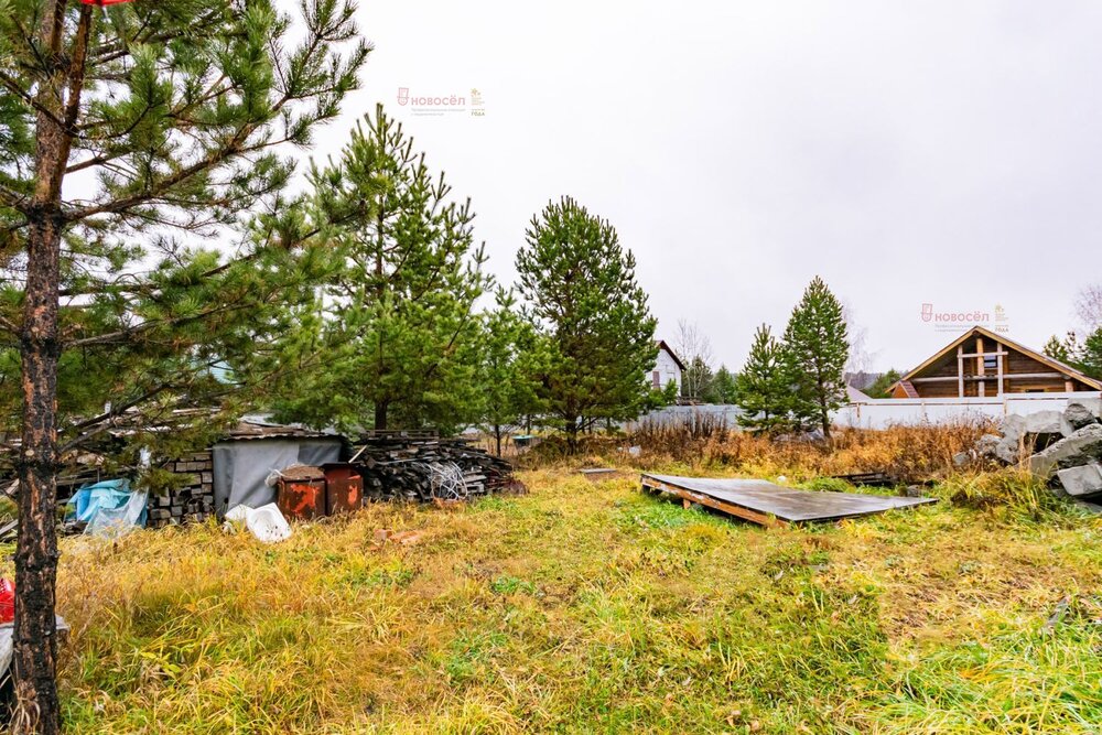 к.п. Улесье, ул. Русская, 194 (Чкаловский район) - фото земельного участка (3)
