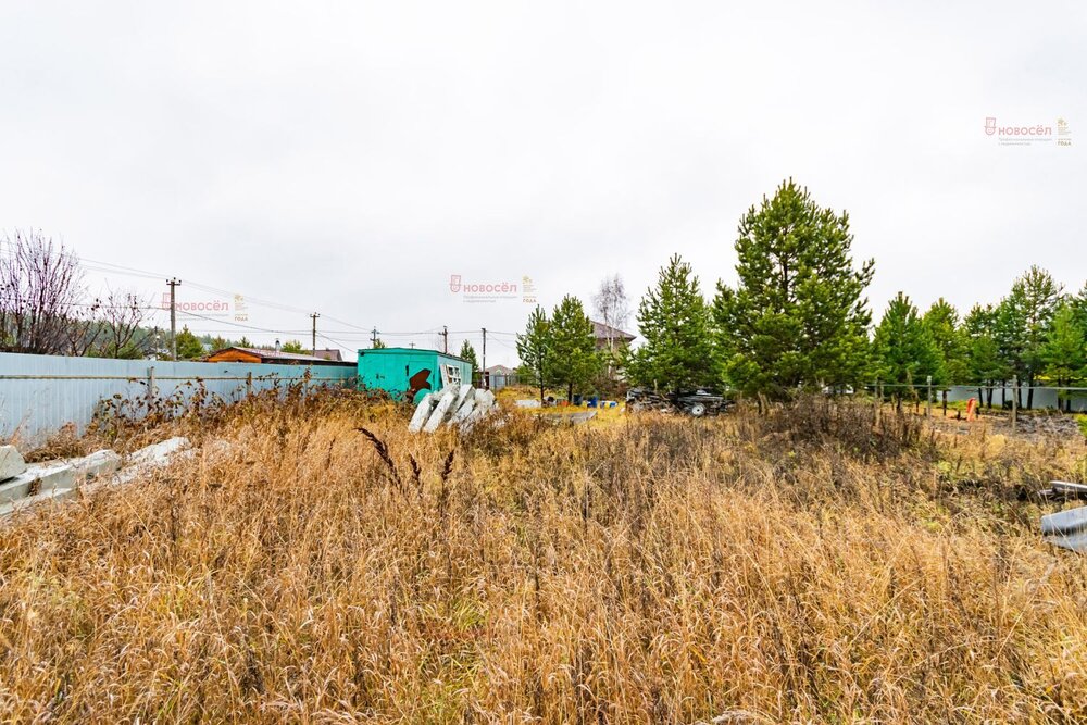 к.п. Улесье, ул. Русская, 194 (Чкаловский район) - фото земельного участка (7)