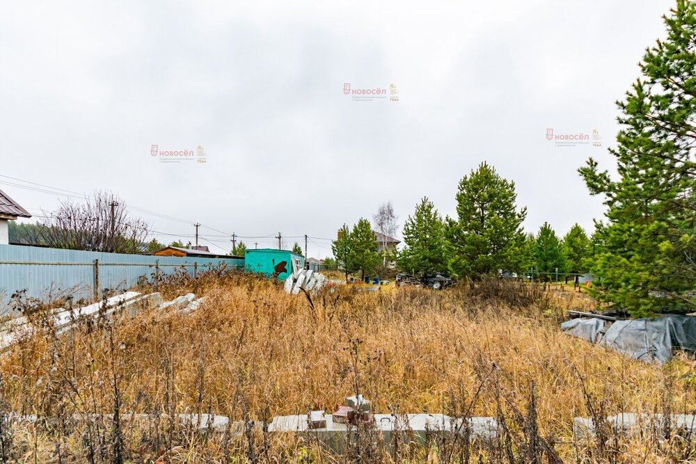 к.п. Улесье, ул. Русская, 194 (Чкаловский район) - фото земельного участка (8)