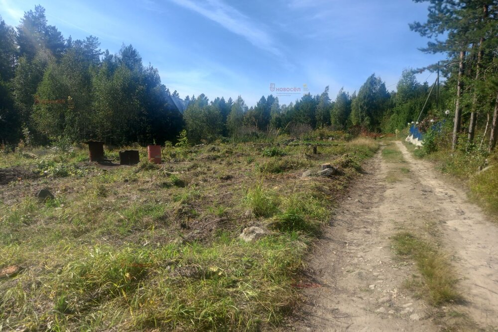 г. Верхняя Пышма, СНТ Людмила , уч. 91 (городской округ Верхняя Пышма) - фото сада (2)