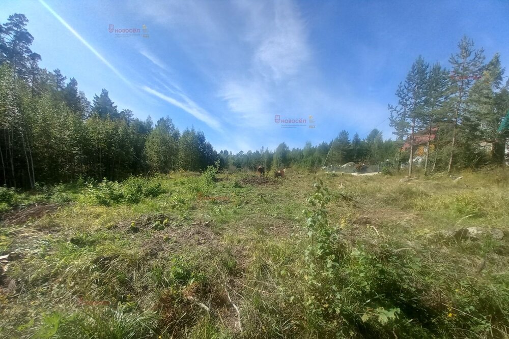 г. Верхняя Пышма, СНТ Людмила , уч. 91 (городской округ Верхняя Пышма) - фото сада (3)