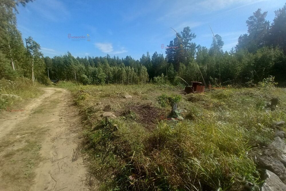 г. Верхняя Пышма, СНТ Людмила , уч. 91 (городской округ Верхняя Пышма) - фото сада (4)