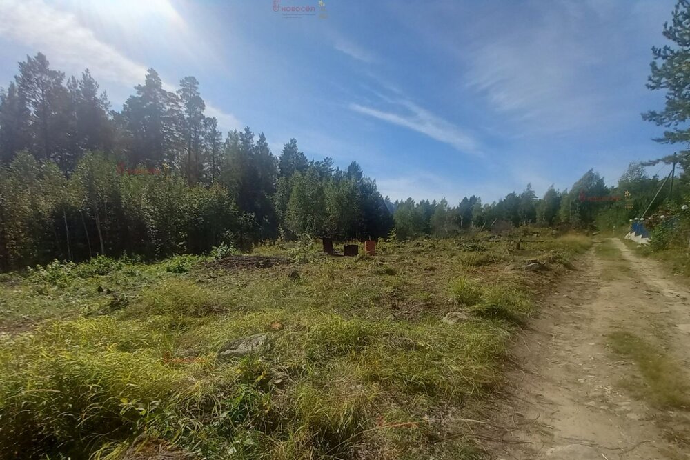 г. Верхняя Пышма, СНТ Людмила , уч. 91 (городской округ Верхняя Пышма) - фото сада (5)