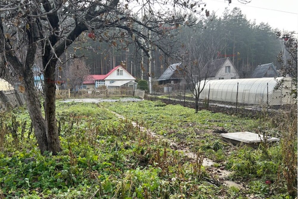 г. Верхняя Пышма, СНТ Белоснежка (городской округ Верхняя Пышма) - фото сада (4)
