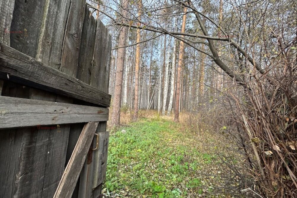 г. Верхняя Пышма, СНТ Белоснежка (городской округ Верхняя Пышма) - фото сада (6)