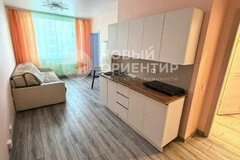 Екатеринбург, ул. Ландау, 39 (Академический) - фото квартиры