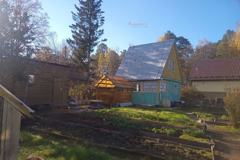 Екатеринбург, СТ Химик, уч. 78 - фото сада (2)