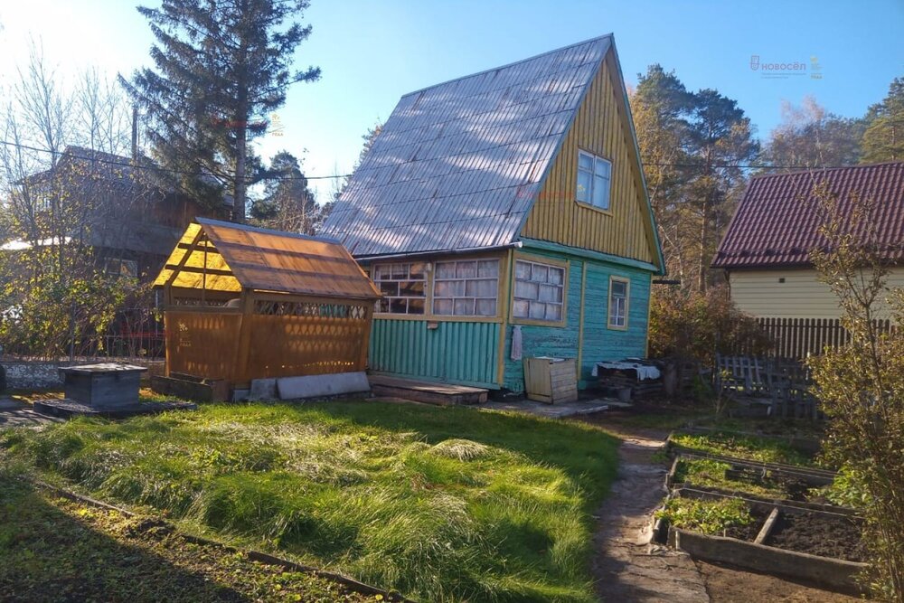 Екатеринбург, СТ Химик, уч. 78 - фото сада (3)