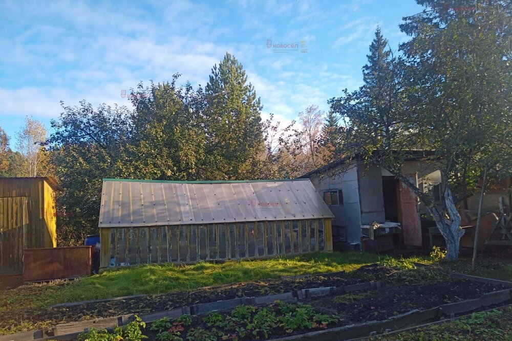 Екатеринбург, СТ Химик, уч. 78 - фото сада (5)