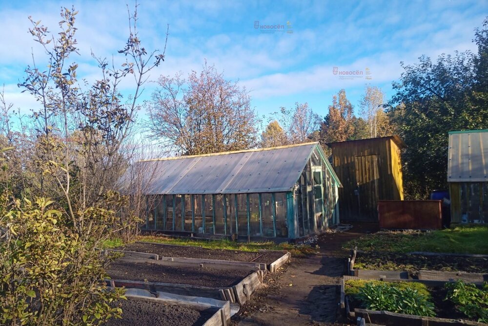 Екатеринбург, СТ Химик, уч. 78 - фото сада (6)