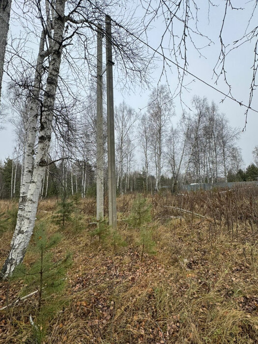 Екатеринбург, ул. Короткий, 19 (Горный щит) - фото земельного участка (2)