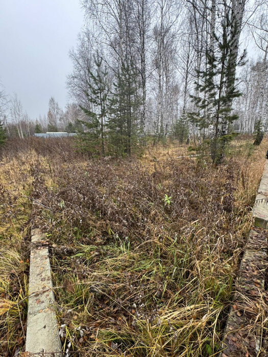 Екатеринбург, ул. Короткий, 19 (Горный щит) - фото земельного участка (3)