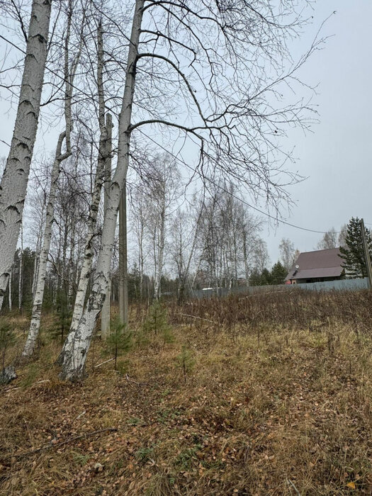 Екатеринбург, ул. Короткий, 19 (Горный щит) - фото земельного участка (4)