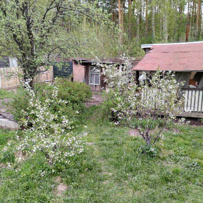 Екатеринбург, снт. Ново-Свердловский (кад.кв-л, уч. 0606010) - фото сада (4)