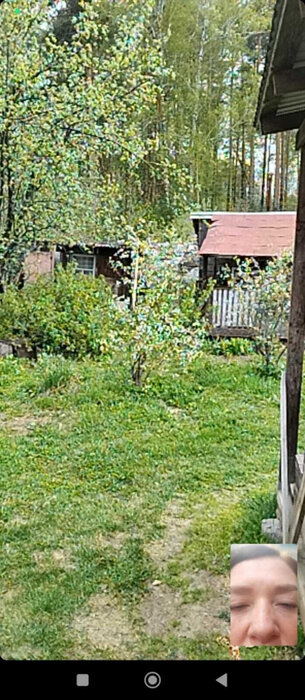 Екатеринбург, снт. Ново-Свердловский (кад.кв-л, уч. 0606010) - фото сада (5)