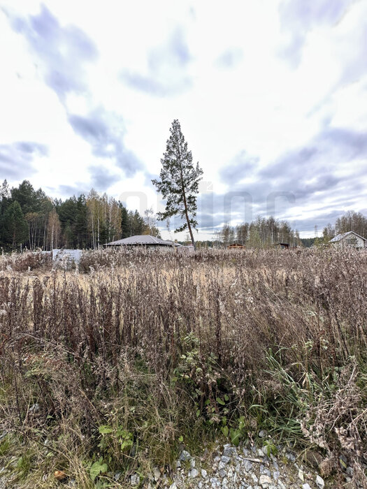 к.п. Заповедник, ул.  Лисий лес (городской округ Сысертский, п. Габиевский) - фото земельного участка (1)