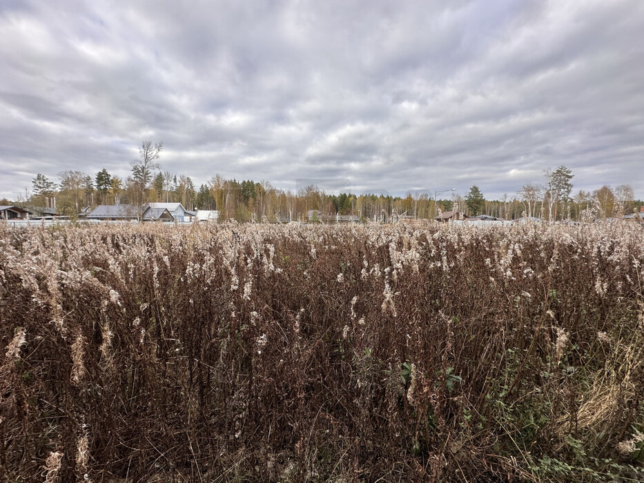 к.п. Заповедник, ул.  Лисий лес (городской округ Сысертский, п. Габиевский) - фото земельного участка (3)