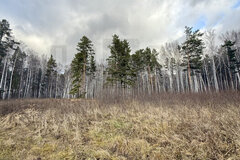 к.п. Бристоль, ул. Солнечная,   (городской округ Белоярский) - фото земельного участка
