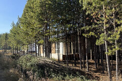 п. Бобровский, ул. КП Бобровские дачи, Каштановая, 16 (городской округ Сысертский) - фото земельного участка