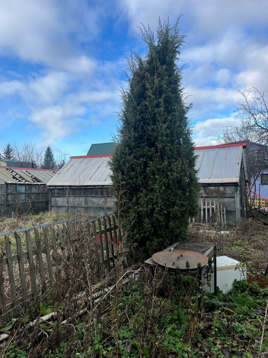 Екатеринбург, СНТ Родничок (Полеводство) - фото сада (5)