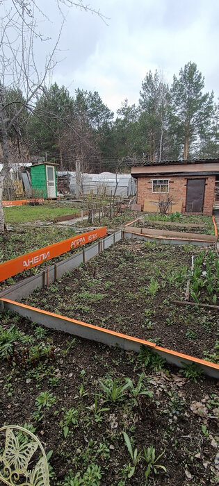 Екатеринбург, снт. Лесовод (кад.кв-л, уч. 0507016),7 - фото сада (6)