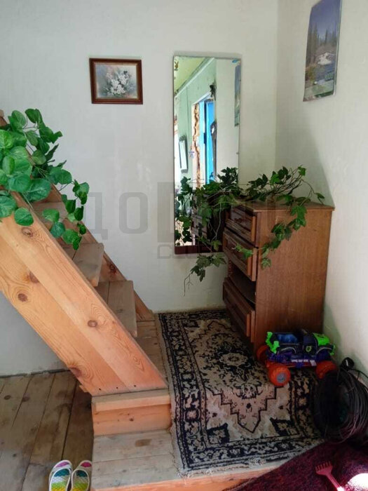 Екатеринбург, к/с Дружба, уч. 20 (Шабровский) - фото сада (6)